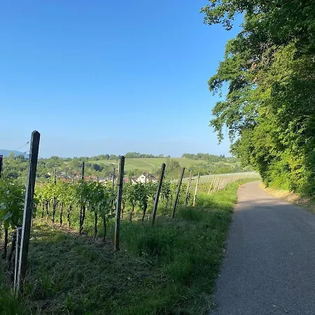 公寓 3 Whg Reblandliebe, Naehe Europapark, Strassburg, Weinberge 奥芬堡