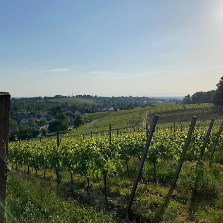 3 Whg Reblandliebe, Naehe Europapark, Strassburg, Weinberge * 오펜부르크