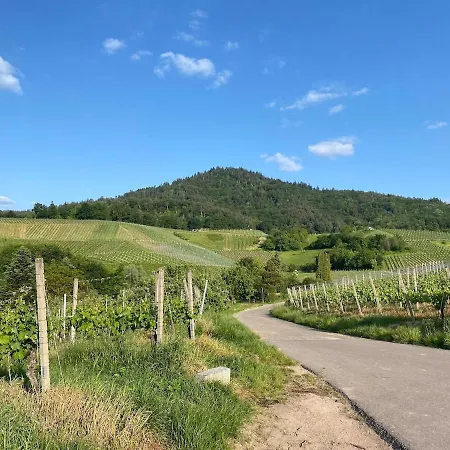 3 Whg Reblandliebe, Naehe Europapark, Strassburg, Weinberge 아파트 *