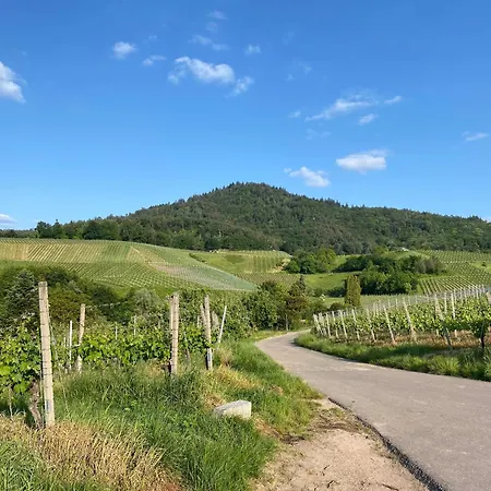 3 Whg Reblandliebe, Naehe Europapark, Strassburg, Weinberge * Offenburg